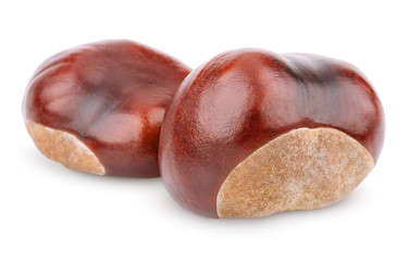 Two chestnuts isolated on white with clipping path