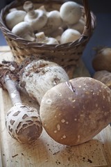 Still life with mushrooms, onion, spices