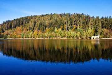 Lake with reflection of autumn