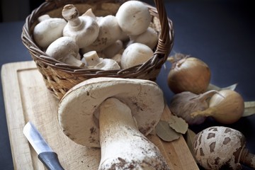 Still life with mushrooms, onion, spices