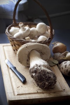 Still life with mushrooms, onion, spices