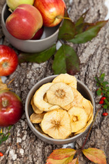 Autumn. Dried apples