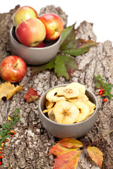 Autumn. Dried apples