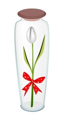 Fresh White Tulip with Red Ribbon in Glass Bottle