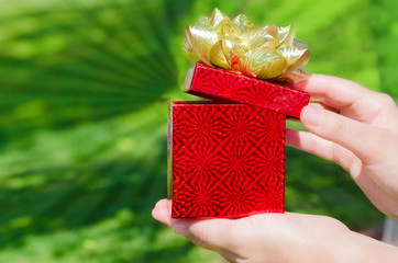 Gift box in woman's hands