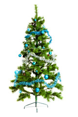 christmas tree isolated.