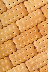 Cookies texture closeup