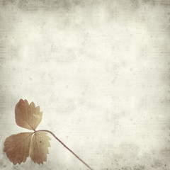 Fototapeta premium textured old paper background