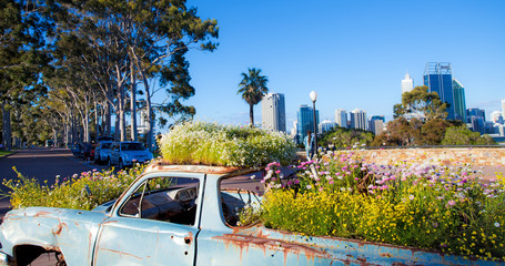 Kings Park, Perth, Australia Occidentale