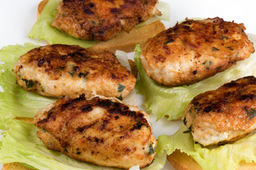 Fried cutlets with bread