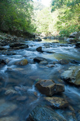 やんばるの清流（安波川）