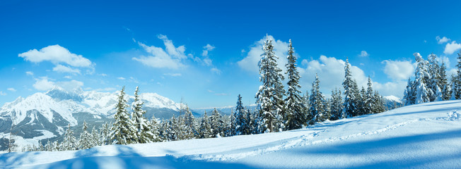 Winter mountain panorama.