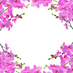 Obraz na płótnie Canvas light pink orchid branches frame