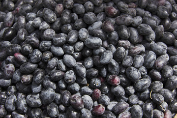 Black olives in the market for sell