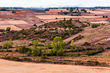 Paisaje de Secano