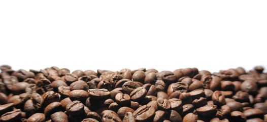 Panoramic photo of coffee beans