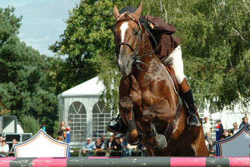 Concours de saut d'obstacle