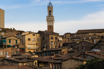 Fototapeta premium Siena - Tuscany - Italy
