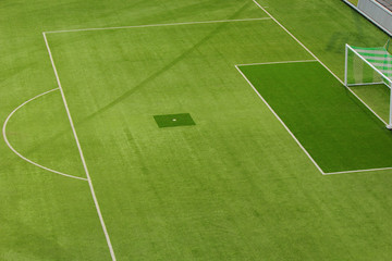 Fototapeta premium With the goal