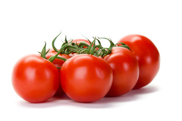 Strauchtomate