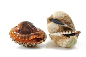cockles