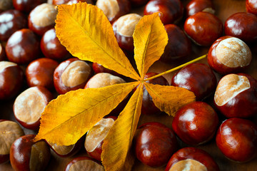 chestnuts with leaf