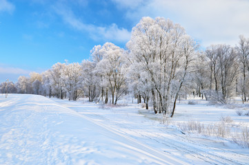 Snowy landscape in the Narew river valley. Beautiful winter trai