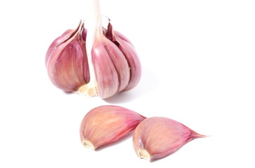 Fresh garlic on white background