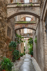 ruelle italienne antique