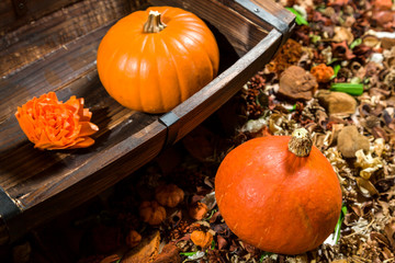 K&uuml;rbis im geteilten Holzfa&szlig; - Halloween Dekoration