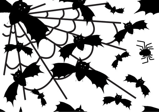 Vector  halloween bat and spider background