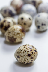 quail eggs