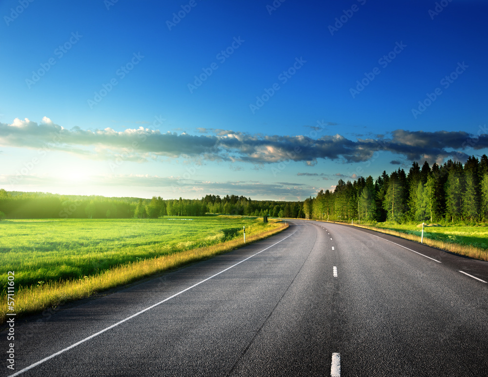 Canvas Prints Asphalt road in forest