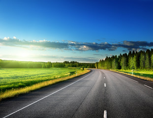 Asphalt road in forest