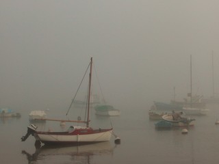 brume