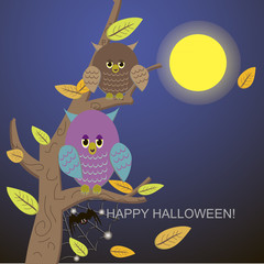 Spiders in the web tree and owl
