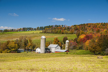 Upstate NY Farm
