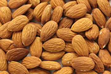 アーモンドホール・全面