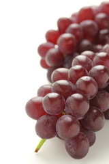 ブドウ・デラウエア