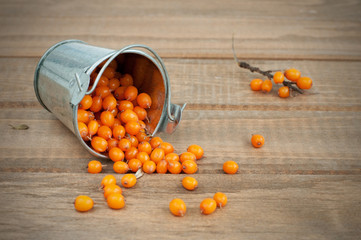 organic sea-buckthorn