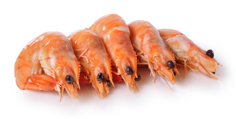 Langostinos aislados