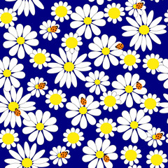 Seamless background with daisies and ladybirds