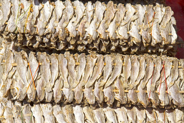smalll dry fish