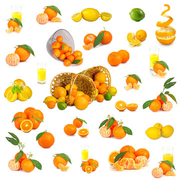 citrus mix