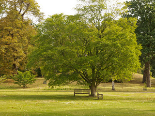 Parco a Londra
