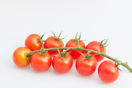 Group Tomatoes on calyx