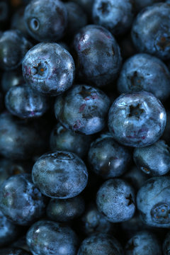 Blueberries close-up