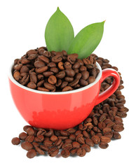 Coffee beans in cup isolated on white