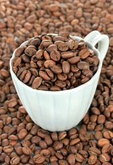 Coffee beans in cup close-up