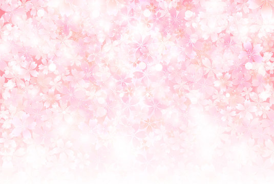 桜　背景　年賀状